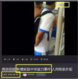 吃瓜网暴事件视频大全,揭秘网络暴力背后的真相