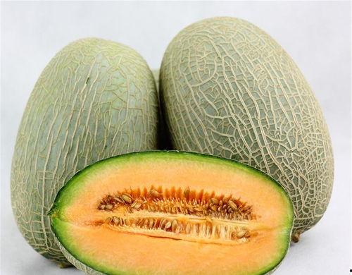 鱼儿吃哈密瓜视频大全,揭秘鱼儿对哈密瓜的神奇喜爱