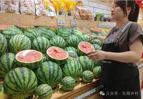 王小瓜吃西瓜视频大全,趣味视频大全欢乐来袭