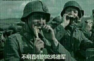 塔城吃瓜群众事件真相视频,真相与背后故事