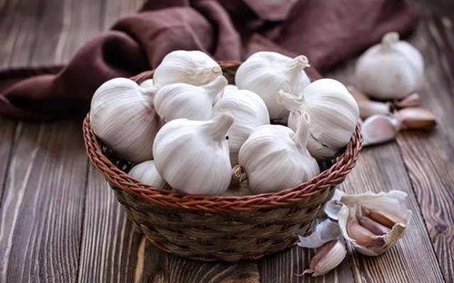 刘大瓜吃大蒜视频大全,视频大全带你领略舌尖上的刺激