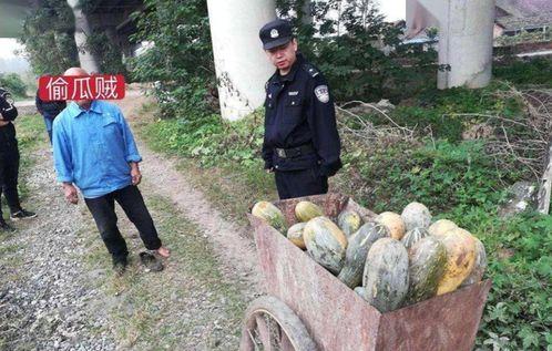 宜丰网红吃瓜事件真相视频,揭秘真相背后的惊人内幕