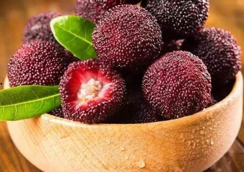 杨梅吃瓜视频大全,趣味横生的欢乐时光回顾