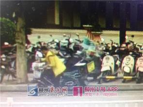 男子吃瓜被拘6个月视频,拘役六个月引热议