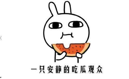 抖音搞笑段子吃瓜视频下载