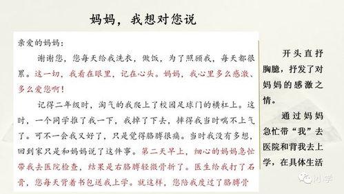 瓜哥吃瓜奇葩作文视频播放,揭秘视频背后的奇葩作文奇观